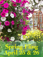 Spring Fling