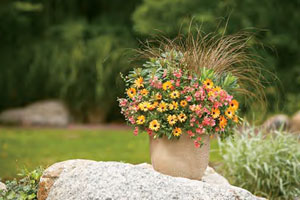 Combination Planters