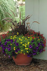 Combination Planters