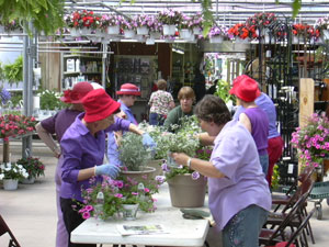 Oliver Paine Greenhouses Funshops